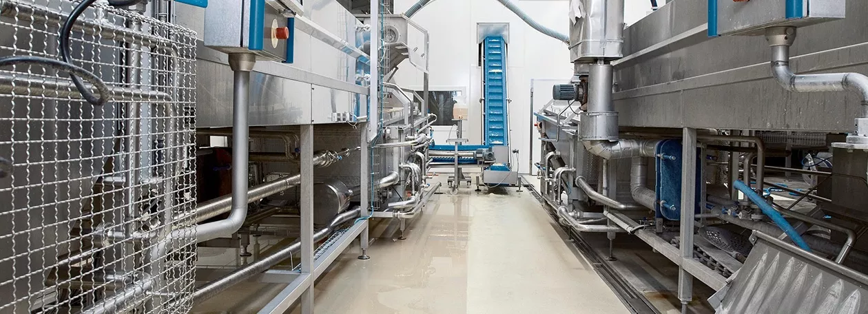Cleaning and Hygiene in the Food Industry